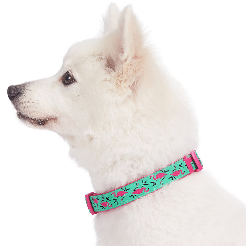 [Australia] - Blueberry Pet Essentials 10 Patterns Zoo Fun Dog Collars, Harnesses or Leashes Regular Collar - Large Pink Flamingo 