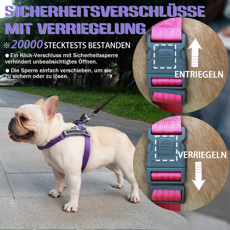 Paworld Dog Harness, Service Dog Harness, Norwegian Harness Dog, Safety Harness with 4 Reflective Patches, Adjustable Handle, for Walking, Training and Running (Purple, XS) Extra Small (Pack of 1) Purple - PawsPlanet Australia