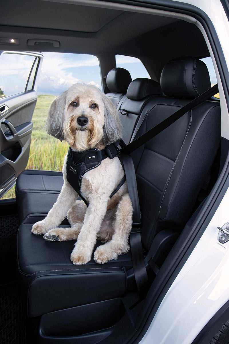 DogMaster 2.0 dog safety belt, black/black, size S - PawsPlanet Australia