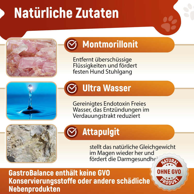 GastroBalance fast-acting diarrhea aid for dogs - natural dog diarrhea treatment with immediate effect for SMALL dogs < 10 kg (German) German - PawsPlanet Australia