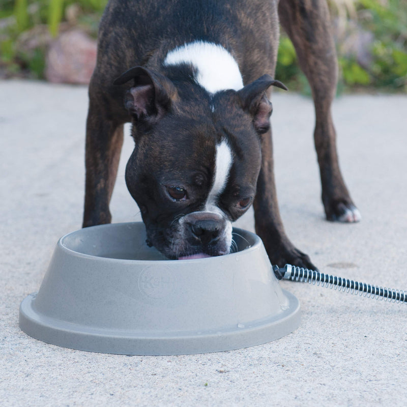 [Australia] - K&H Pet Products Thermal-Bowl Heated Cat & Dog Bowl 32oz. Slate Gray 12W 