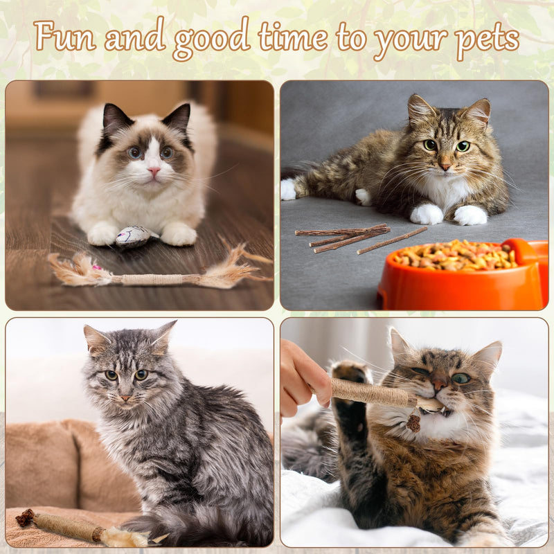 FRIUSATE Pack of 6 catnip sticks, 15 Matatabi cat chewing sticks, cat dental care toys, chewing sticks for cats, Silvervine sticks for cat dental care and against bad breath - PawsPlanet Australia