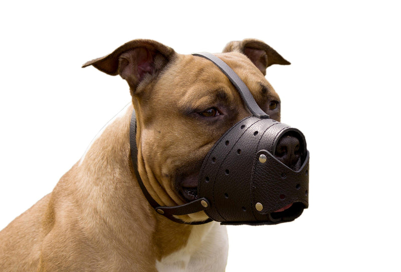 [Australia] - CollarDirect Leather Muzzle for Large Dog Biting Training Barking Secure Soft Pitbull Basket Staffordshire Terrier Black Brown 