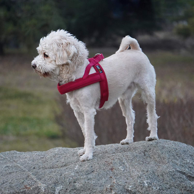 [Australia] - balbali Easy On and Off Dog Harness Gentle Lead Easy Control Dog Vest Harness with Padded Handle Adjustable Breathable Materials for Easy Walk with Large Small Dogs S Red 