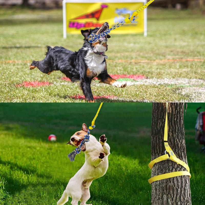 Dog Hanging Bungee Tug Toy: Interactive Tether Tug-of-War for Pitbull & Small to Large Dogs to Exercise and Fun Solo Play - Durable Retractable Tugger Dog Rope Toy with 2 Chew Rope Toys - PawsPlanet Australia