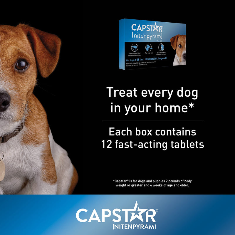 Capstar Oral Flea Treatment for Small Dogs (2-25 lbs), Fast Acting, 12 Tablets - PawsPlanet Australia