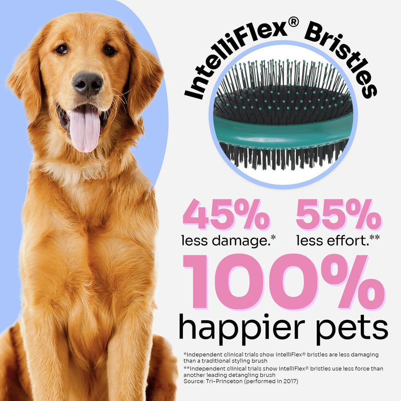 Wet Brush Ultimate Grooming Pet Brush, 2-in-1 Dual Sided Detangling Pet Brush - Ultra Soft IntelliFlex Bristles Remove Loose Hair & Dirt - Pet Grooming Detangler Brush for Dogs, Cats, Rabbit - Teal Blue - PawsPlanet Australia