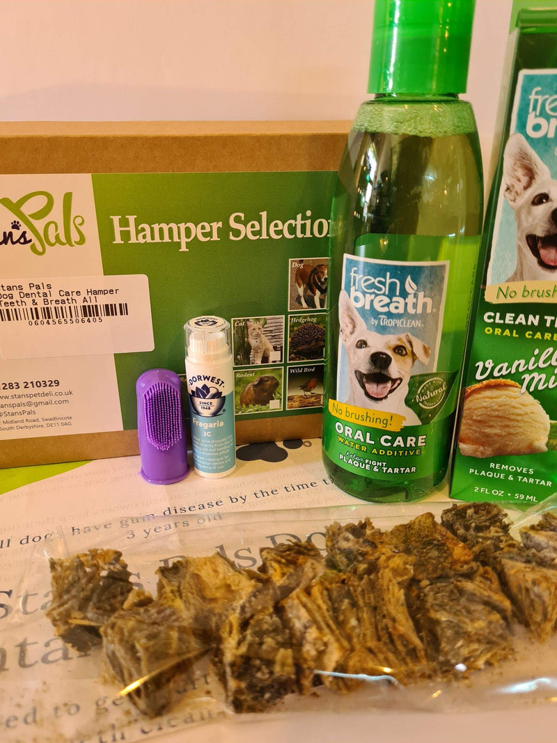 Dog Dental Care Hamper Toothbrush and Tooth Gel - PawsPlanet Australia