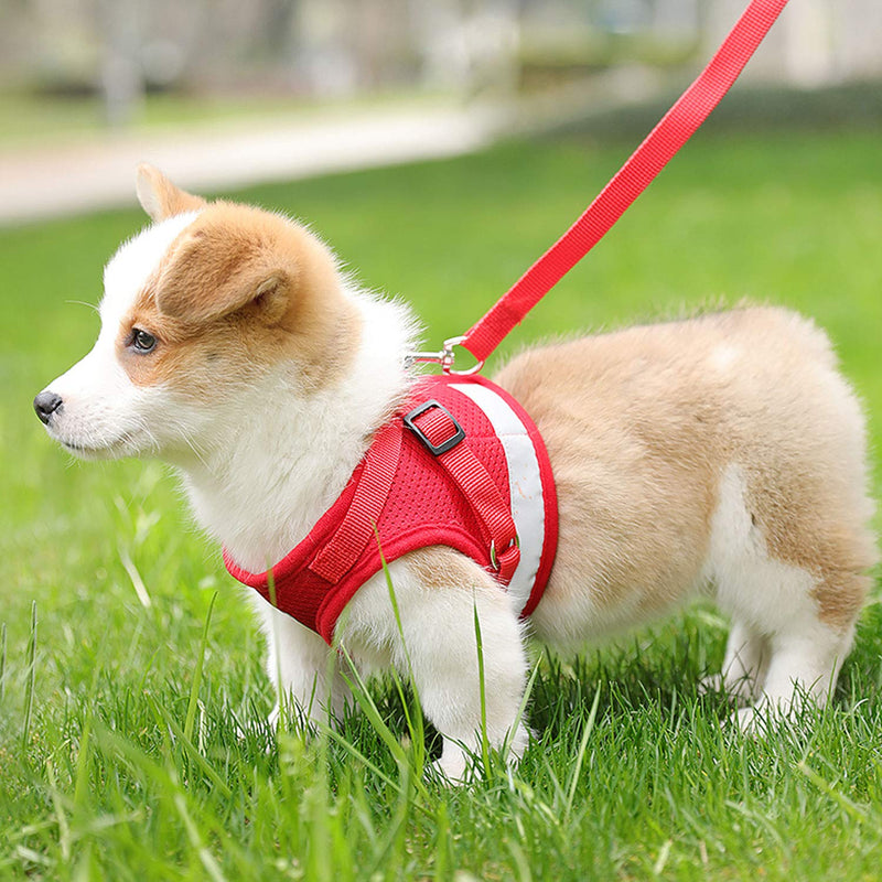 Shinmax Dog Harness Seat Belt Set,Reflective adjustable pet vest strap for small Medium Dogs,Breathable Chest Padded Mesh Adjustable Harnesses XS Red - PawsPlanet Australia