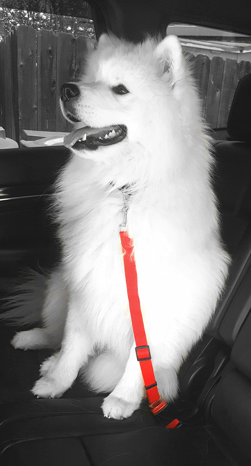 [Australia] - Avinko Ultimate Pet Seat Belt Dog Car Safety Harness Lead/Adjustable Length, Sturdy Manufacture, Eco-Friendly Dog Seat Belt for Dogs & Cats/Travel w/Your Pet in Comfort & Safety 