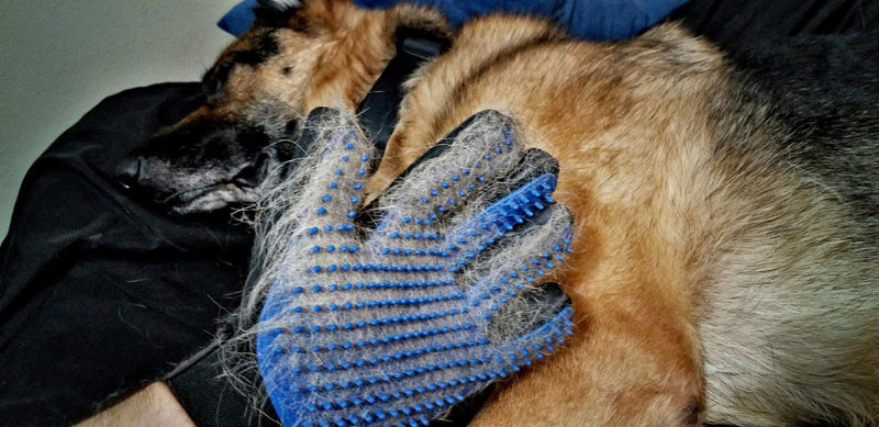 Pet Grooming Glove,Soft Silicone Head Breathable Mesh Cat and Dog Massage Hair Removal Brush Mitten Blue 1Pair - PawsPlanet Australia