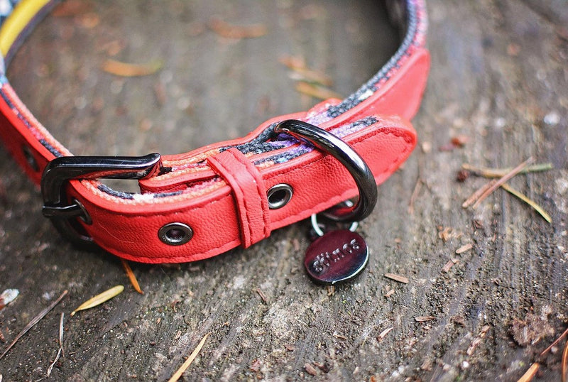 Sotnos Tribal Print Collar, 2.5 x 55 cm, Red - PawsPlanet Australia