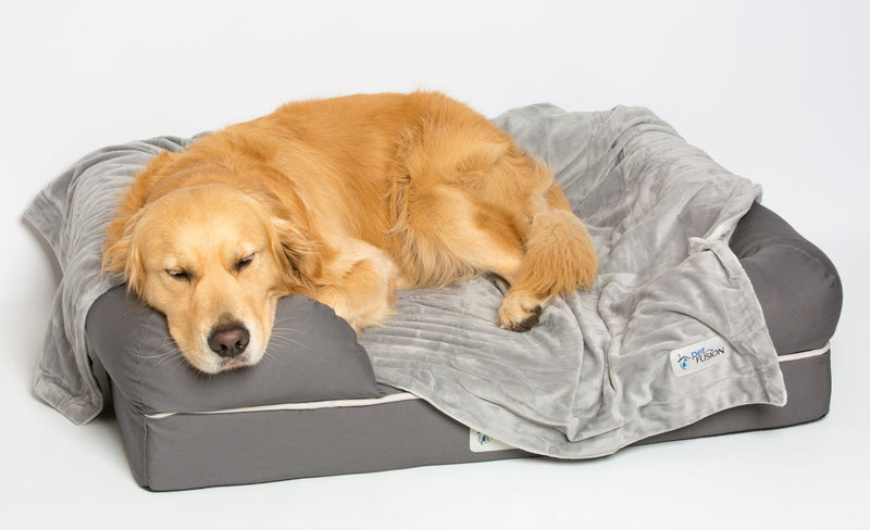 [Australia] - PetFusion Premium Pet Blanket, Multiple Sizes for Dogs & Cats. [Reversible Micro Plush]. 100% Soft Medium (44 x 34") Grey 