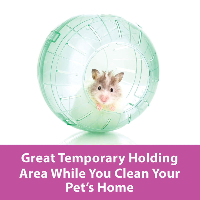 Kaytee Run-About 7" Hamster Exercise Ball, Moon Glow - Assorted colors - 100079346 - PawsPlanet Australia
