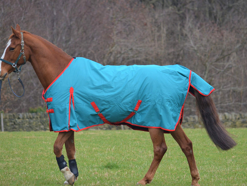 Turners Lightweight 100g Fill Waterproof Turnout Rug for Horse and Shetland Pony 3'0" - PawsPlanet Australia