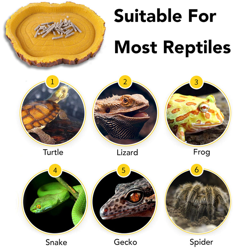 CalPalmy 2 Pack Reptile Food Bowls - Reptile Water and Food Bowls, Novelty Food Bowl for Lizards, Young Bearded Dragons, Small Snakes and More - Made from Non-Toxic, BPA-Free Plastic 3" x 5" x 0.8". - PawsPlanet Australia