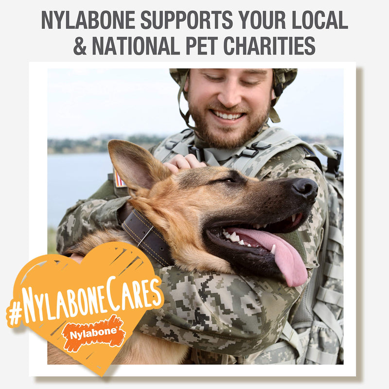 Nylabone Power Chew Dog Bones for Aggressive Chewers Tough Chew Toys for Dogs Bacon Small/Regular (1 Count) - PawsPlanet Australia