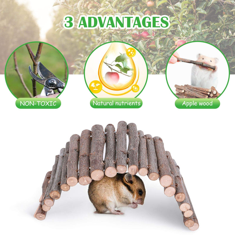 Elipark Small Animal Activity Toy Hamster Houses Hideouts Wooden Rat Playground Platform with Ladders Bridge for Chinchilla, Guinea Pigs, Gerbil, Parrots, Dwarf Mice,and Other Small Animals - PawsPlanet Australia