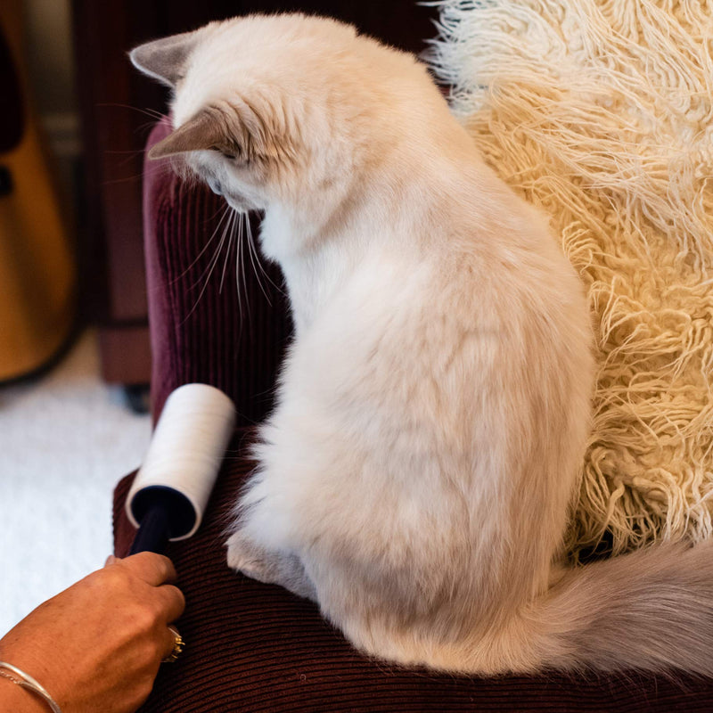 Korbond 4.9m Friendly Lint Roller-33 Sticky Citrus Scented Paper Sheets Suitable for All Fabric Types-Removes Pet Hair from Any Surface and Clothes-No Residue, White, 1 Pack Single - PawsPlanet Australia