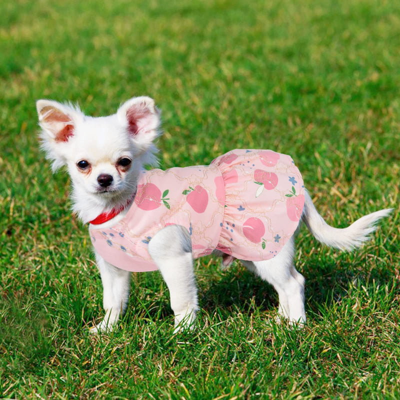 Dog Dress Girl Dog Clothes for Small Dogs Girl Summer Puppy Dresses Outfit for Chihuahua Yorkie Teacup Cute Apple Print Pet Skirt Apparel Cool Cat Clothing Female 2 Pack (Large, Pink+Green) Large - PawsPlanet Australia