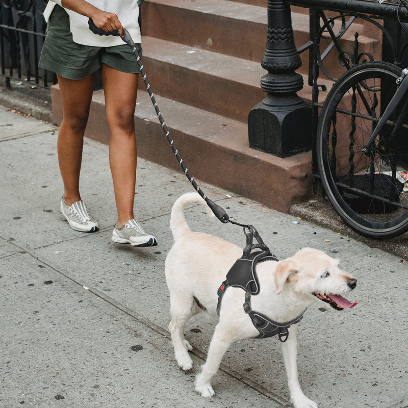 DAIJUN No Pull Dog Harness, Adjustable Reflective Easy Control Breathable Dog Harness with 5ft Dog Leash, Dog Harness for Medium Large Dog - PawsPlanet Australia