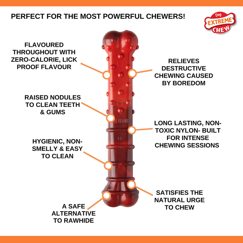 Nylabone 1 Extreme Tough Dog Chew Toy Bone, Beef Jerky Flavour, 1 Edible Snack, Chicken Flavour, M, For Dogs Up To 16Kg 16 kg (Pack of 1) - PawsPlanet Australia