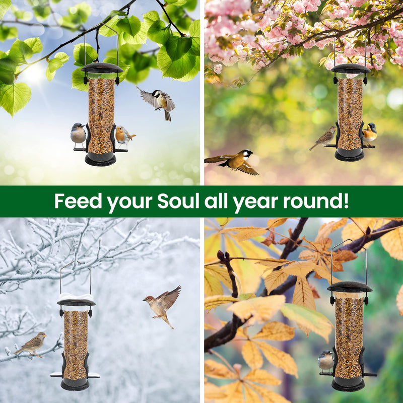 Bird Feeders For Small Birds - 1Pc Bird Seed Feeder With 2 Feeding Ports, All Weather Mealworm Feeder For Your Feathered Friends, Rust Resistant Flip top Niger Seed Bird Feeder - 8 Inch - PawsPlanet Australia