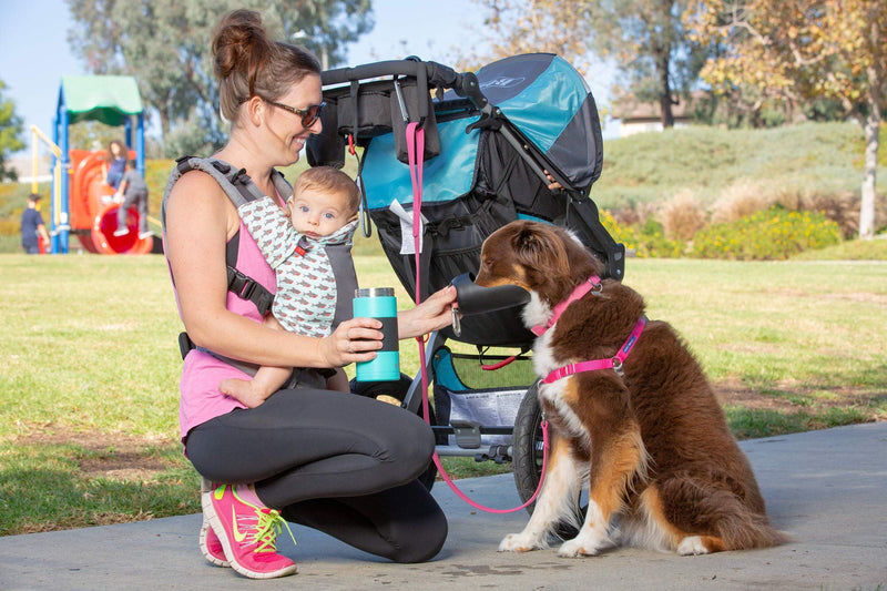 [Australia] - PetFusion Portable Dog Water Bottle (New; Large Dispenser, 22 oz). Insulated 2 Wall Stainless Steel for Optimal Cool Water Temp, Leak Proof, eco Friendly Narrow/A Blue 