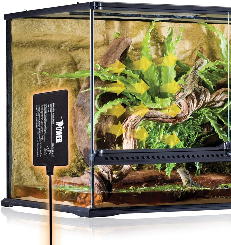 iPower Terrarium Reptile Heating Pad Under Tank Warmer Heater Mat with Digital Thermostat 4" x 7" & Control - PawsPlanet Australia