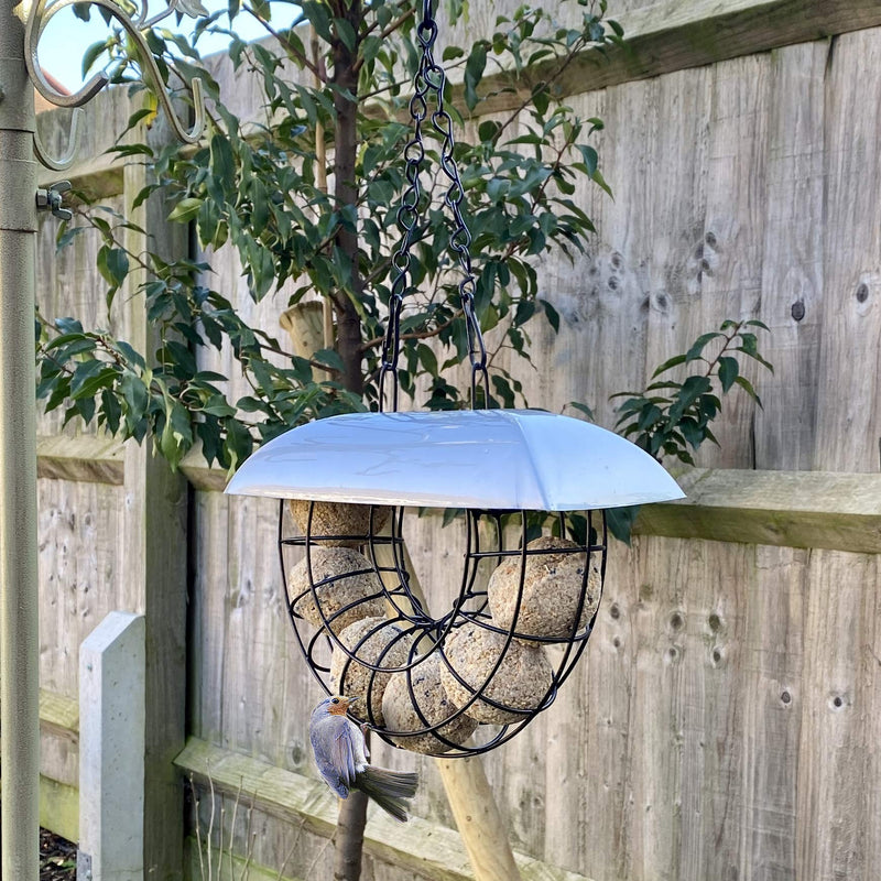 Half Moon Bird Feeder With 6 Suet Balls Included - Galvanised Steel Outdoor Hanging Feeders for Garden Birds with Plastic Roof - Attracting Tits, Finches, Robins, Sparrows & many more Wild Birds - PawsPlanet Australia