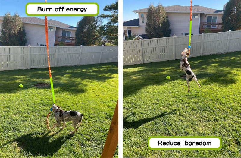 [Australia] - Outdoor Hanging Bungee Dog Tug Toy,Interactive Tug-of-War Game for Pitbull & Small to Large Dogs,Durable Tugger to Exercise and Fun Solo Play with a Indestructible Rope Chew Toy Green 