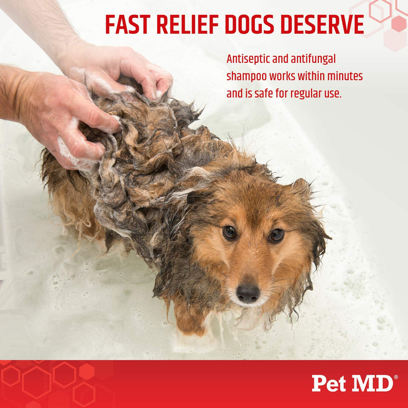 Pet MD Medicated Shampoo for Dogs, Cats, & Horses - Medicated Dog Shampoo with Ketoconazole & Chlorhexidine - Skin Infections, Anti Itch, Allergies, Abrasions, & Acne - 8 oz - PawsPlanet Australia