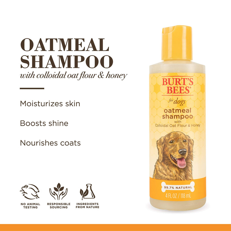 Burt's Bees for Pets Dogs Natural Oatmeal Shampoo with Colloidal Oat Flour and Honey| Oatmeal Dog Shampoo, 4 Ounces (FF5796) - PawsPlanet Australia