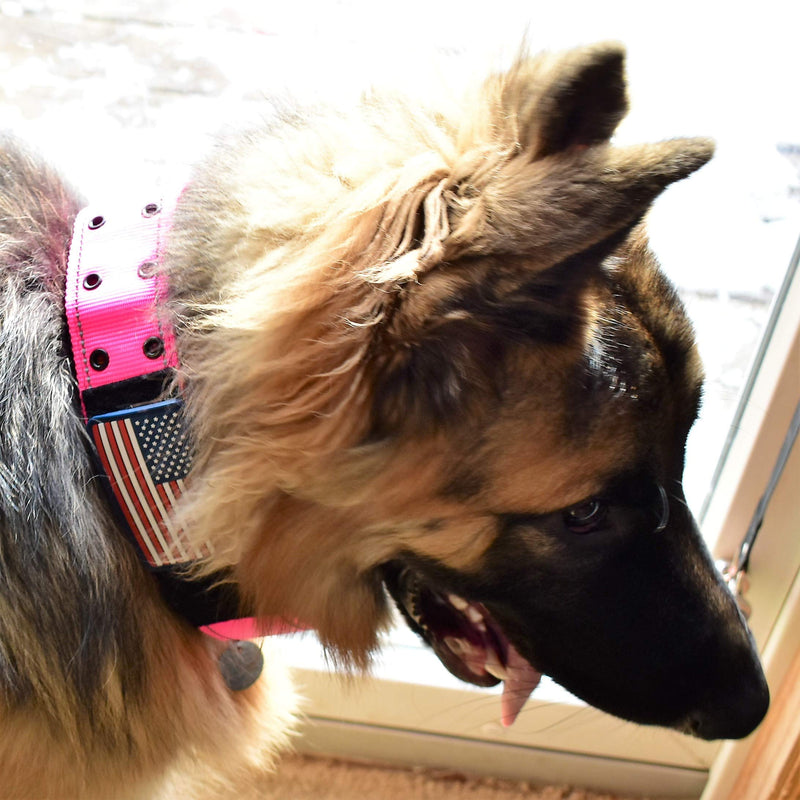 [Australia] - Diezel Pet Products Dog Collars K9 Harness Tactical Military Style - 2" Two Inch Wide Heavy Duty Thick Nylon Webbing for Strong Large XL Big Dogs - Metal Two Pin Belt Buckle - USA American Flag Patch 12"-20" PINK 