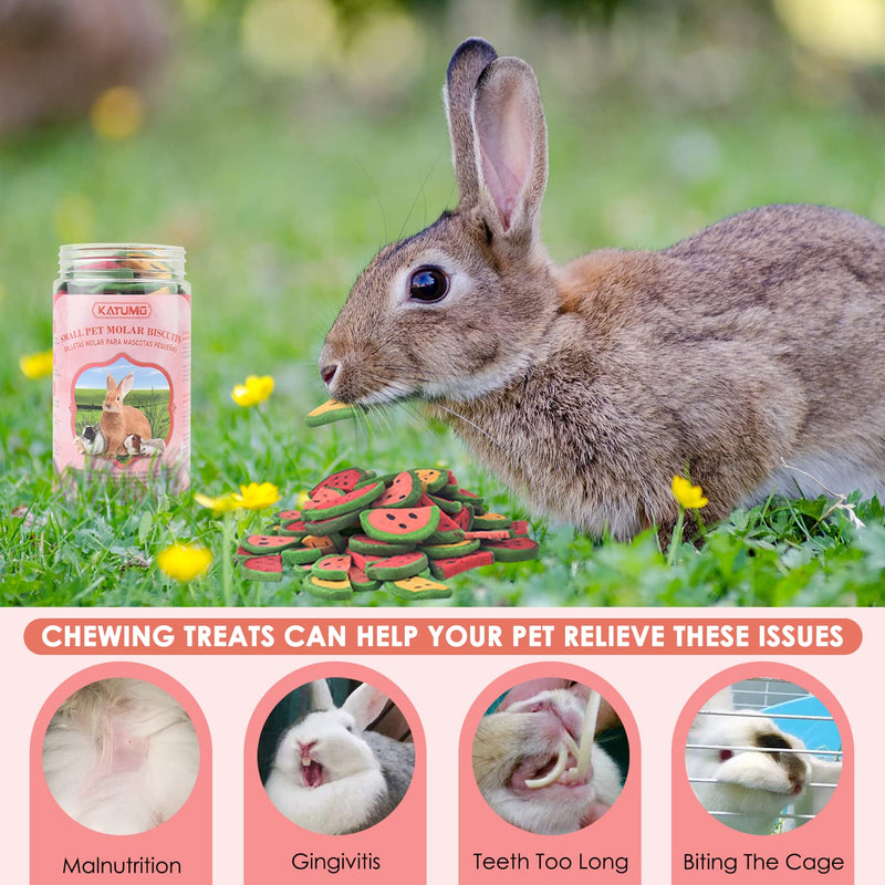 KATUMO 70PCS Rabbit Chew Toys, Mixed Natural Timothy Hay Beet Pumpkin Carrot Bunny Chew Toys and Treats for Hamsters, Chinchillas, Guinea Pigs, Rabbits and Other Small Animals Molar Snacks - PawsPlanet Australia