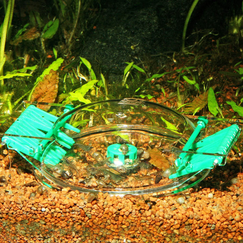 JBL Limcollect Aquarium Snail Trap - PawsPlanet Australia