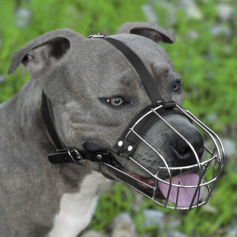 BRONZEDOG Dog Muzzle Pitbull Metal Mask Amstaff Wire Basket Pit Bull Adjustable Leather Straps for Large Dogs - PawsPlanet Australia