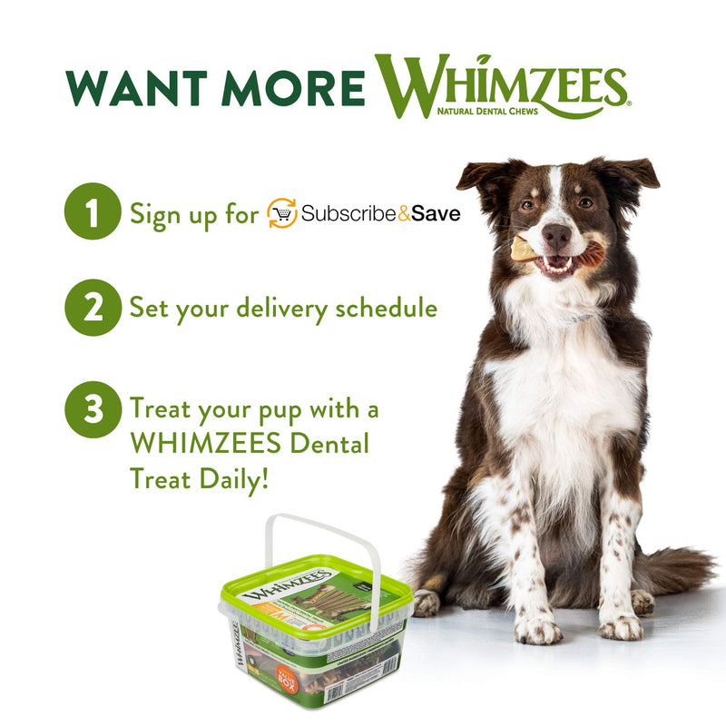 Whimzees Puppy Dental Treats Natural Grain Free Daily Chews, 3+ Months Old 20 Pack Medium Puppy (25-40lb) - PawsPlanet Australia