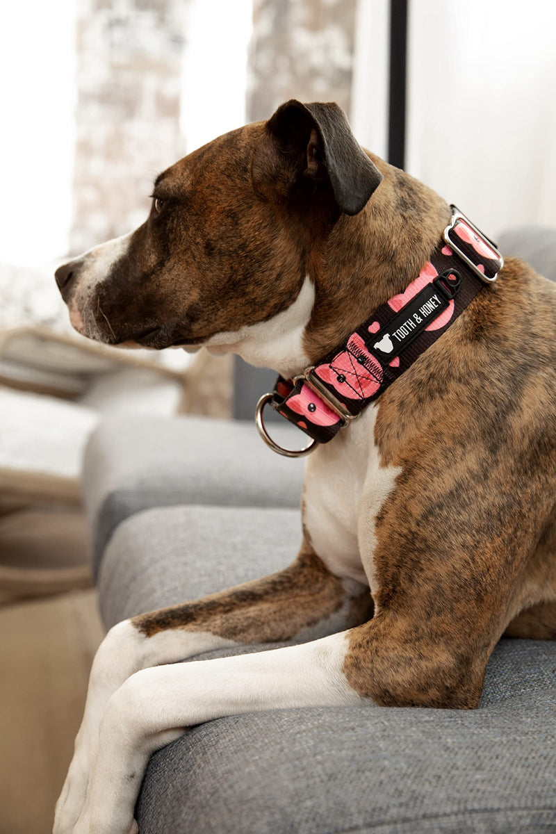 Tooth and Honey Pitbull 1.5" Wide Pig Martingale Collar - PawsPlanet Australia