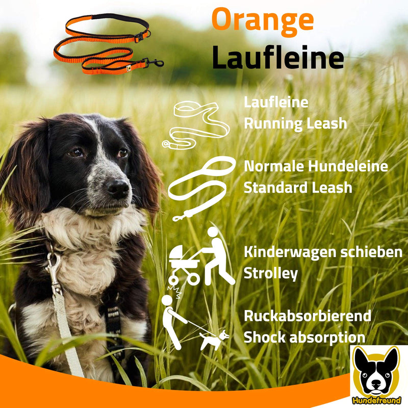 Dog friend running leash - particularly light, stretchy dog leash for medium and large dogs for hands-free running | Photographing | Pushing a stroller | Hike - PawsPlanet Australia