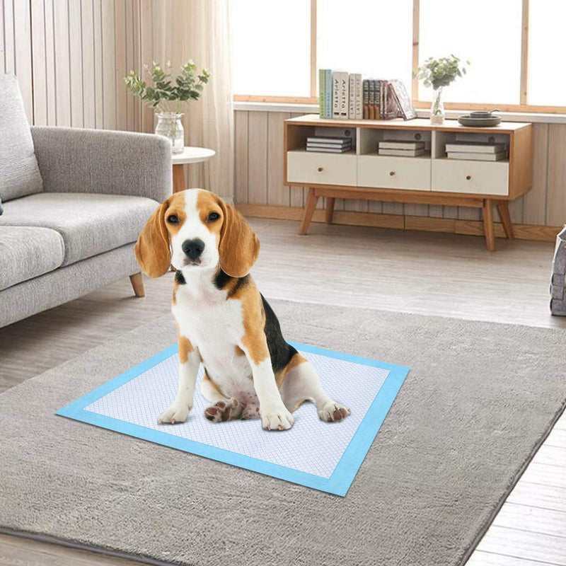 Ownpets Dog Training Pads Medium 60x45cm Leak Proof 6 Layer Pet Potty Training Pads with Quick Dry Surface for Pets Pack of 50 M:60x45cm - PawsPlanet Australia