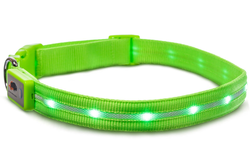 [Australia] - Blazin' Safety LED Dog Collar – USB Rechargeable with Water Resistant Flashing Light Medium Green 