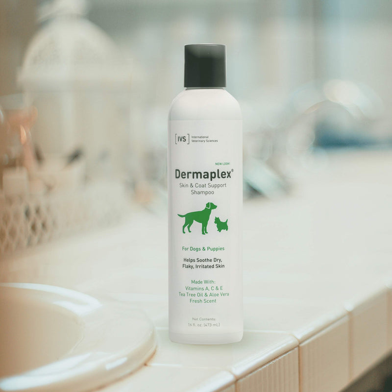 [Australia] - International Veterinary Sciences IVS Dermaplex Medicated Natural Shampoo with Tea Tree Oil to Soothe Dry, Irritated Skin for Dogs, Made in the USA 16 Ounce 