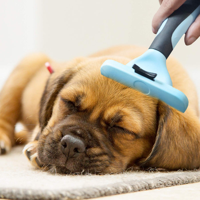 Strong Wind Pet Grooming Brush, Pets Dog & Cat Brush for Shedding, Deshedding Tools for Dogs & Cats Effectively Reduces Shedding by up to 95%, Gentle Pet Shedding Tools Blue - PawsPlanet Australia