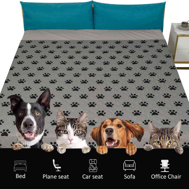 [Australia] - SPXTEX Dog Bed Cover Dog Crate Pads Dog Pee Pads Rugs Washable Dog Pads, Non Slip Puppy Pee Pads for Small Dogs, Waterproof Pet Pad Rug, Dog Whelping Training Pads for Dogs Paw 21"x34"(2 Pack) 