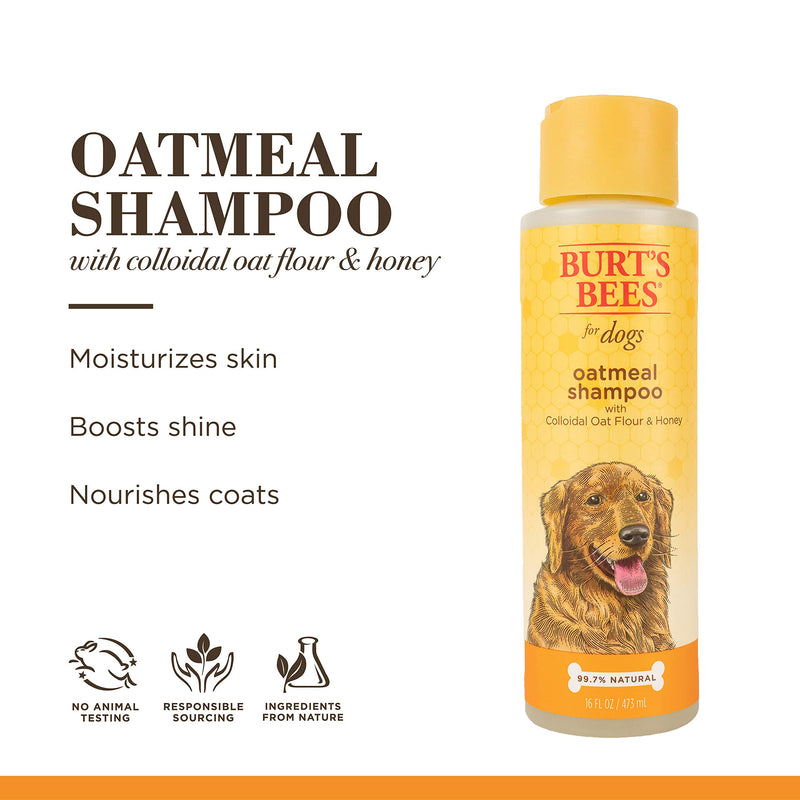 Burt's Bees for Dogs Natural Oatmeal Shampoo for Dogs, Colloidal Oat Flour & Honey - Oatmeal Dog Shampoo - Dog Grooming Supplies, Dog Bathing Supplies, Burts Bees Dog Shampoo, Dog Wash, Pet Shampoo 2 Pack Shampoo (16oz) - PawsPlanet Australia