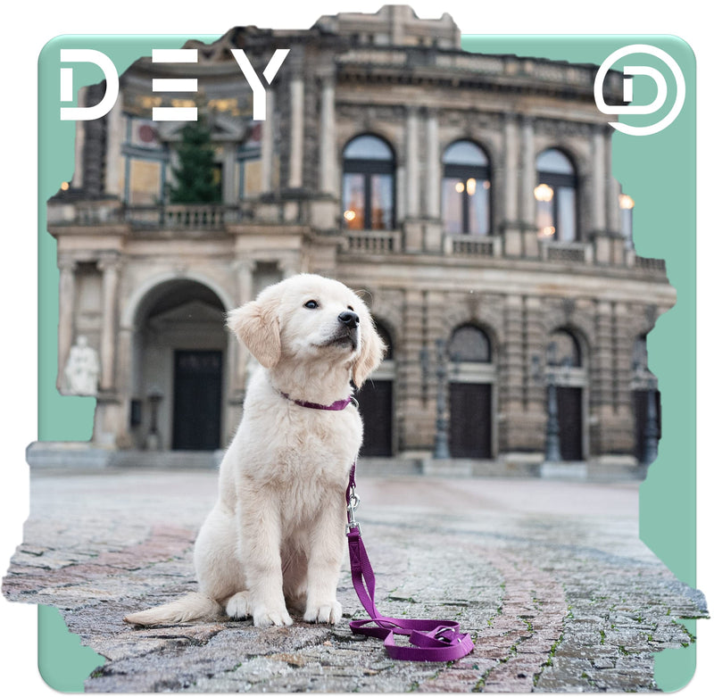 DEY - Premium dog collar nylon, adjustable, for small and large dogs, many colors and sizes, collar dog cat puppy, dog collars, cat collar, puppy collar, red, S [S] - 1.5 x 27 -37cm - PawsPlanet Australia