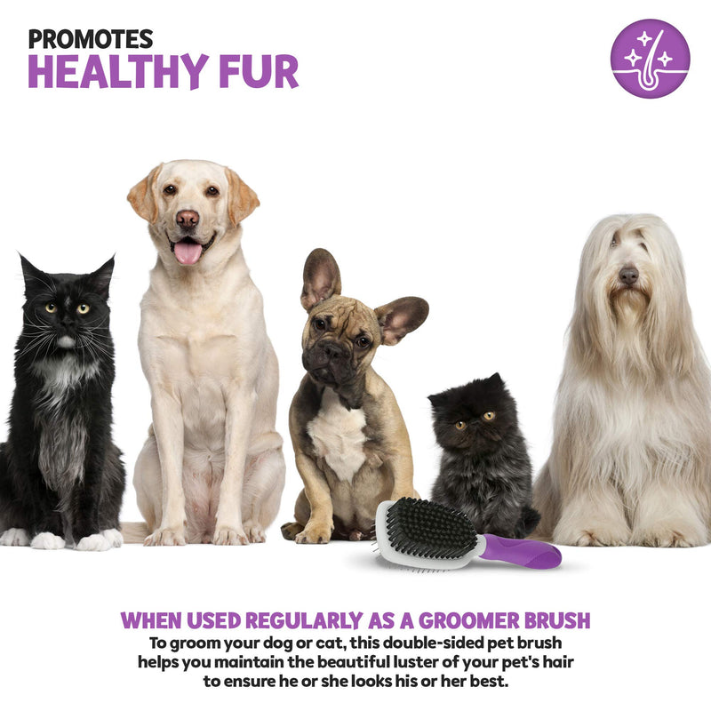 Double-Sided Pet Brush for Grooming & Massaging Dogs, Cats & Other Animals – Fur Detangling Pins & Coat Smoothing Slicker Bristles, Double The Brushing Groom Power in One Tool – Best Groomer Supplies - PawsPlanet Australia