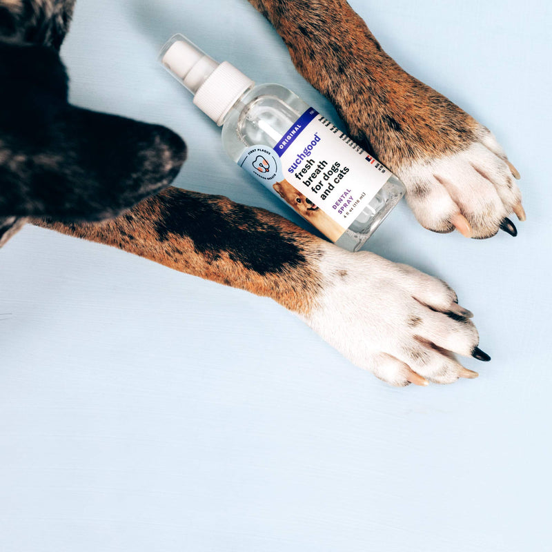 Suchgood Original Dental Spray for Pets | Simple, Brushless Dental Care for Good Dogs and Cats | Made in The USA with Premium Ingredients to Instantly Neutralize Odor and Freshen Breath, 4oz (4919) - PawsPlanet Australia