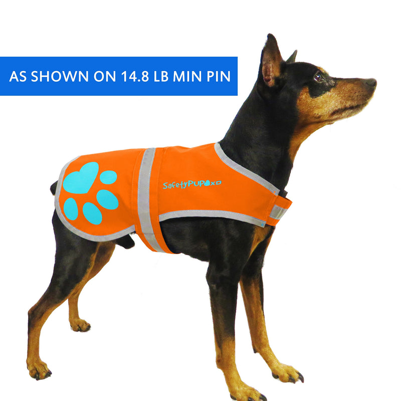 SafetyPUP XD - Reflective Dog Vest. Hi-Visibility, Fluorescent Blaze Orange Dog Vest Helps Protect Your Best Friend. Safeguard Your PUP from Motorists & Hunting Accidents, On or Off Leash. (X-Small) X-Small - PawsPlanet Australia